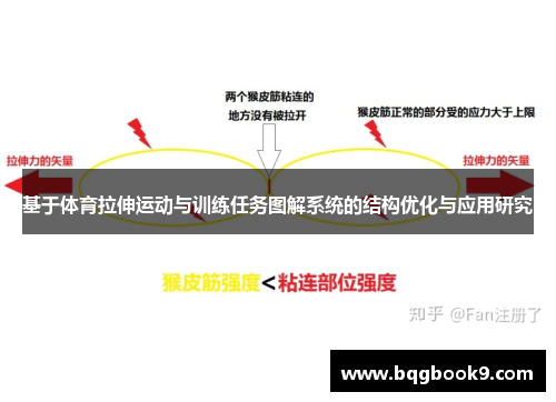 基于体育拉伸运动与训练任务图解系统的结构优化与应用研究